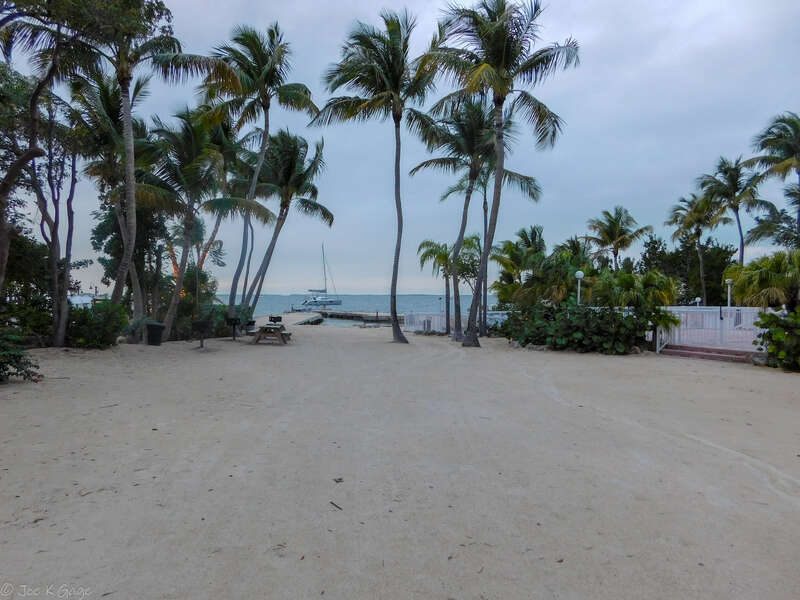DSCN5353