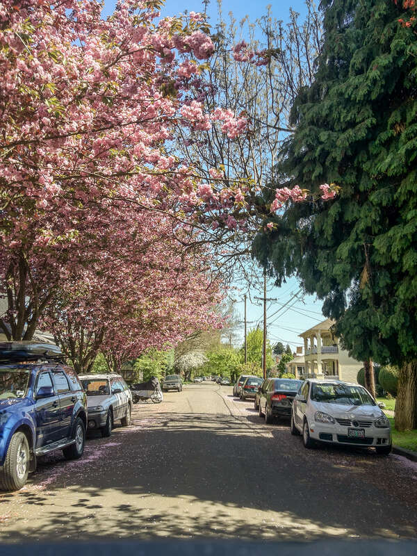 Everett Street - Portland in Spring