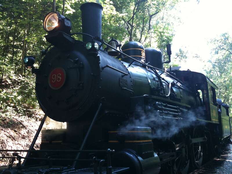 Wilmington and Western 98 is a preserved 4-4-0 American-type steam locomotive. It was built by Alco in January 1909 for the Mississippi Central. No. 98 served in passenger service over an extensive 35-year period before being retired by the railroad
