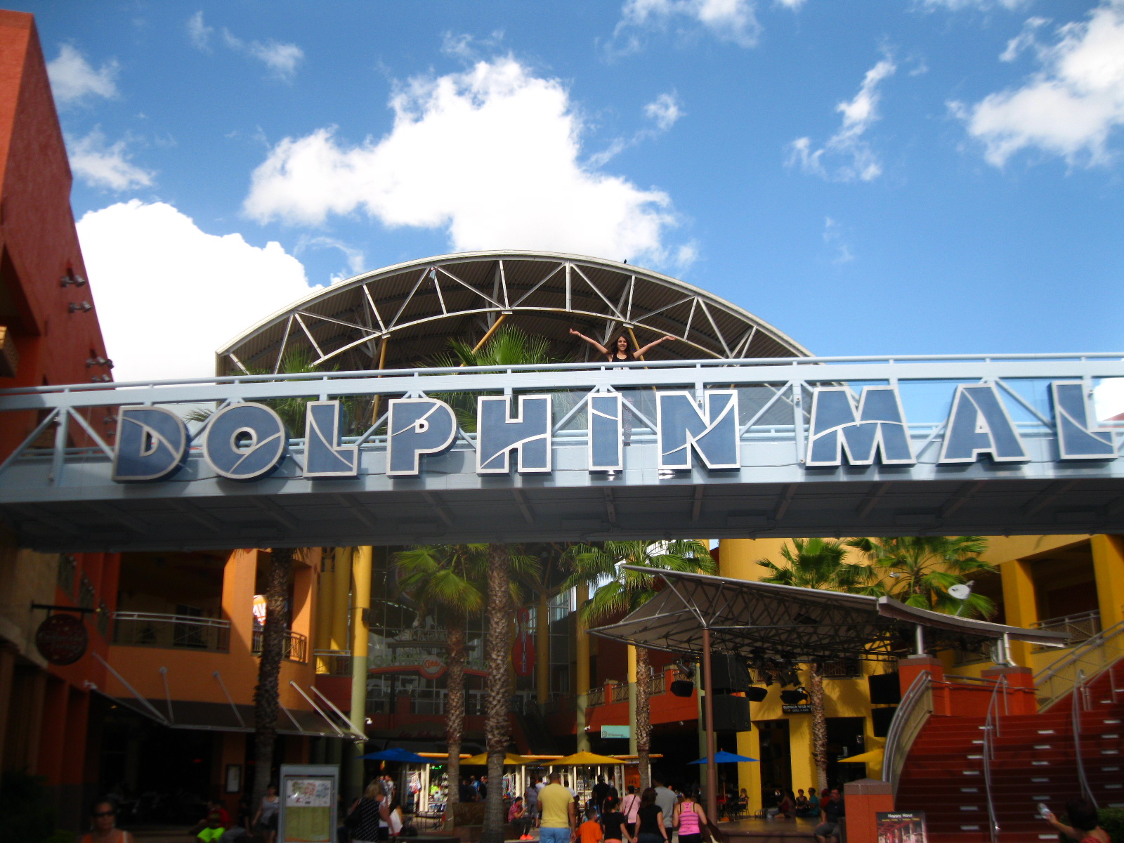 -THE DOLPHIN-