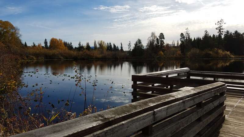 Larsen Lake in Bellevue, Washington