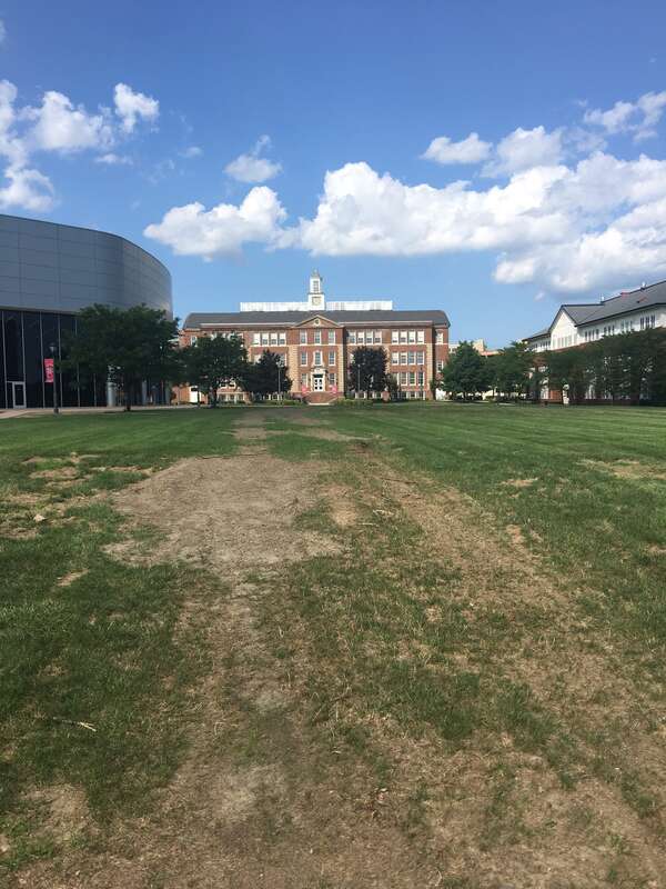 The Albany Law main building from the back. View from the back pathway overlooking the courtyard leading up to the building during the summer.