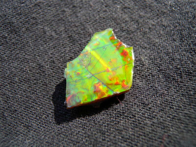 Fossil shell of an ammonite. Found like this only on the eastern slopes of the Rockies in southern Alberta, one of the rarest of gemstones. This 2cm, grade A+, specimen shows all colors (including blue), has good prismatic chromatic shift, and