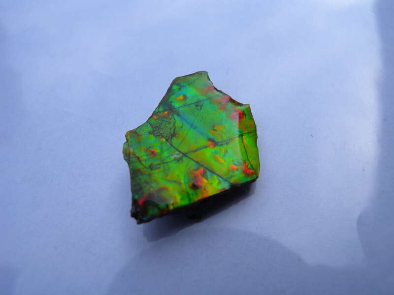 Fossil shell of an ammonite. Found like this only on the eastern slopes of the Rockies in southern Alberta, one of the rarest of gemstones. This 2cm, grade A+, specimen shows all colors (including blue), has good prismatic chromatic shift, and