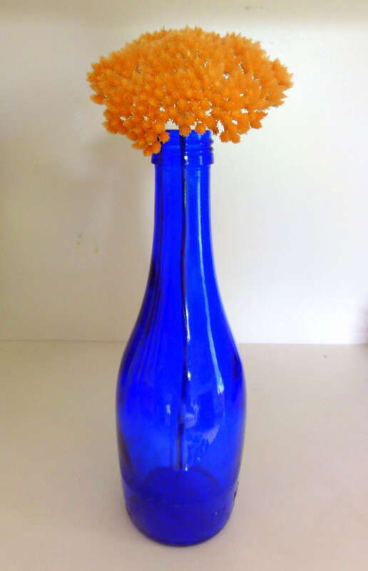 BLUE BOTTLE &amp; NO NAME DRIED BLOOM