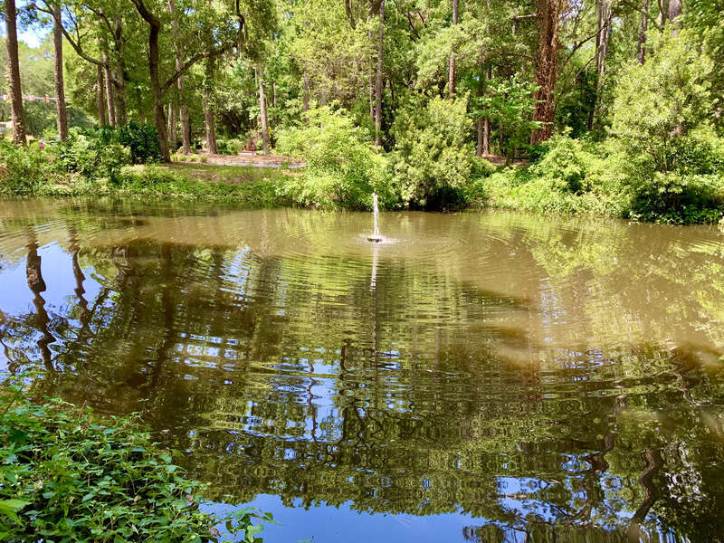 The Xeriscape Garden, located at the Town of Hilton Head Island Government Offices off Wexford Drive, provides a unique open space for residents and visitors. It is a great demonstration of gardening with little supplemental watering.