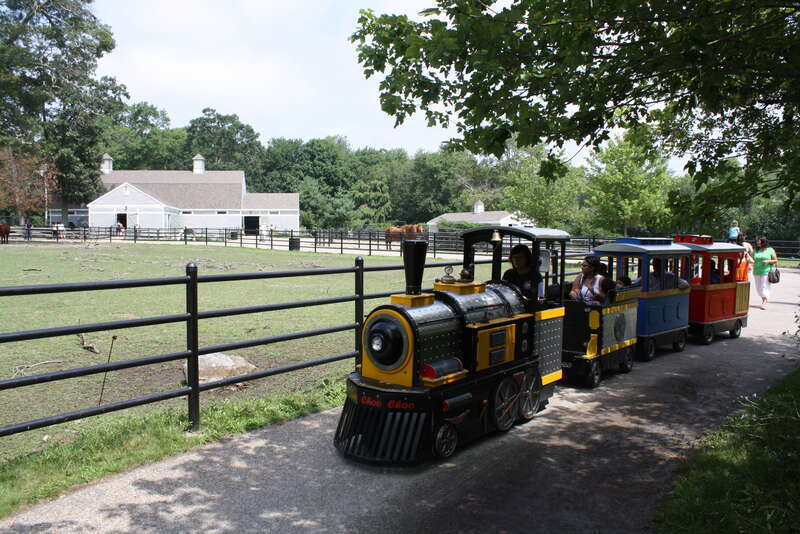 Buttonwood Zoo