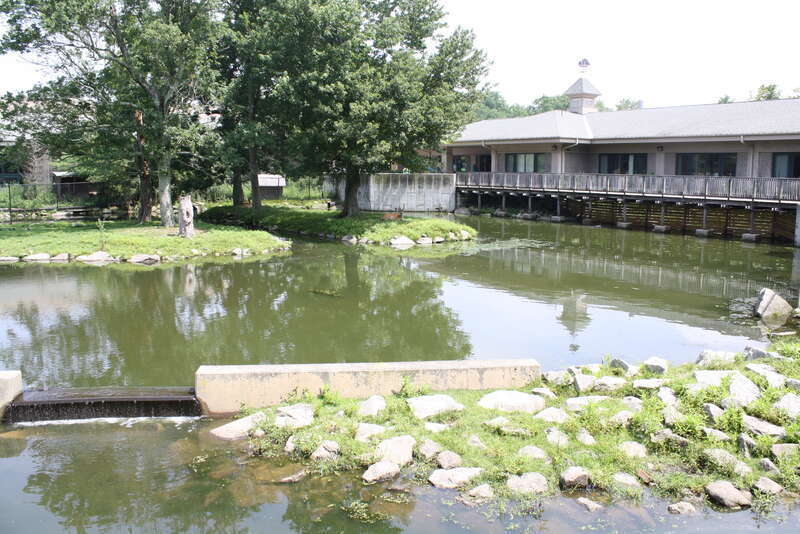 Buttonwood Zoo