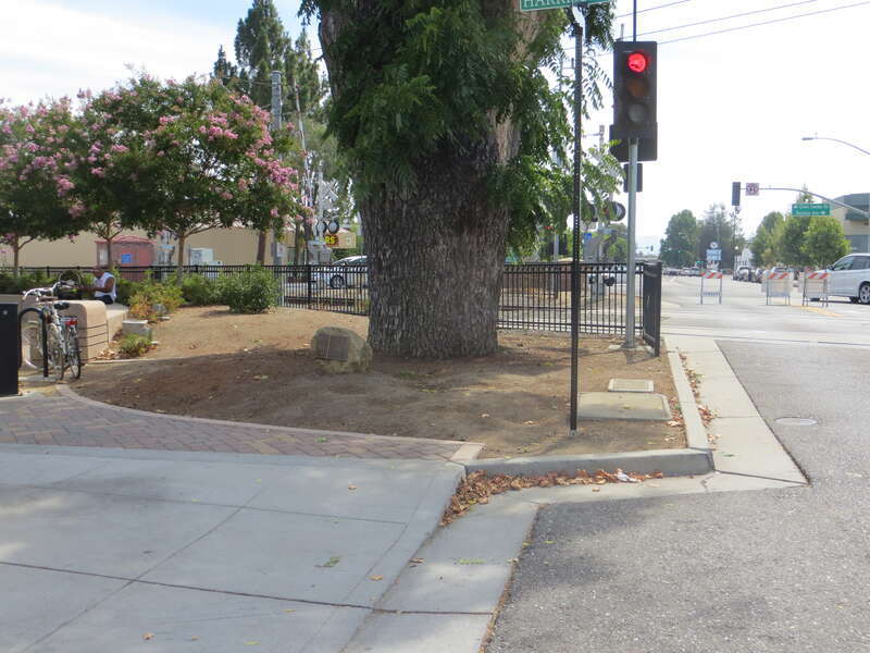 Campbell CA 5