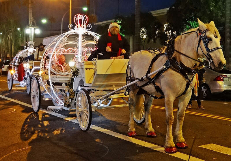 (1 in a multiple picture album)
Brightly lit carriages such as this carry visitors through the streets and around the Mission Inn during the Festival of Lights.  Note the 'toe nail polish' on this pretty horse.