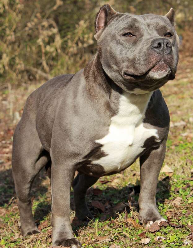 Miley Blue Crush Daughter at 1 Year Old.