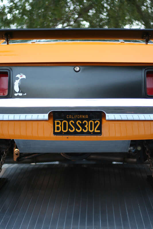 Mustang Boss 302

18 July 2008