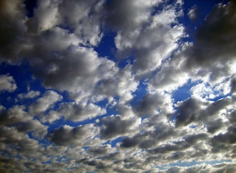 Altocumulus rolls.