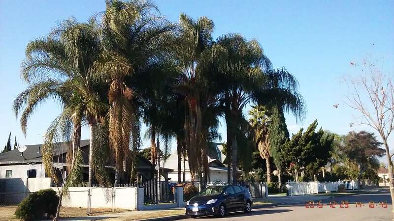 Garvey, Rosemead, CA, USA
