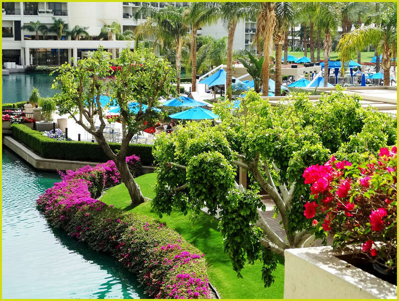 (1 in a multiple picture set)
You can see in this shot some of the gorgeous plantings along the canals, and throughout the swim area.