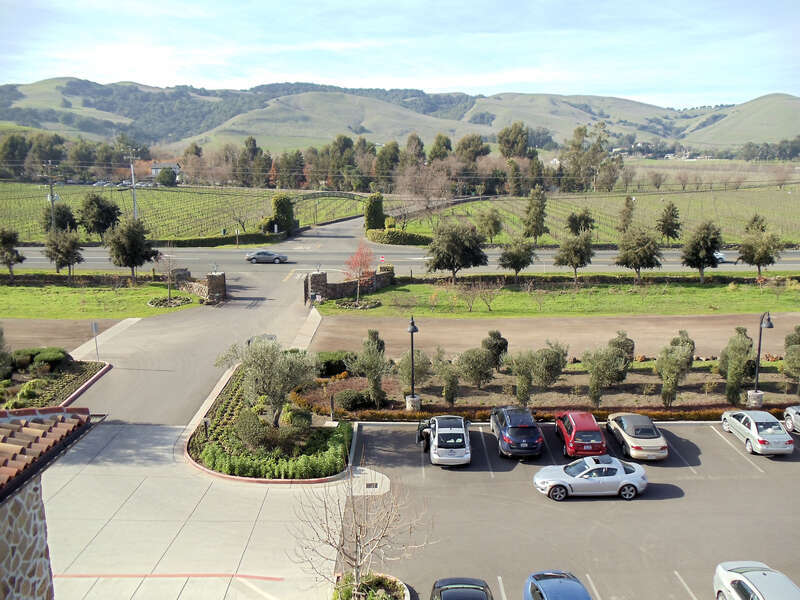Jacuzzi Family Vineyards &amp; Winery, Sonoma Valley, California, USA
The Jacuzzi Family Vineyards &amp; Winery owns and farms grapes at its estate in Sonoma-Carneros and the Sonoma Coast appellation, specifically the Petaluma Gap. 
Carneros