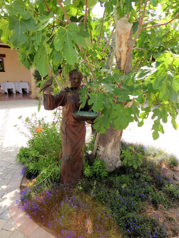 Jacuzzi Family Vineyards &amp; Winery, Sonoma Valley, California, USA
The Jacuzzi Family Vineyards &amp; Winery owns and farms grapes at its estate in Sonoma-Carneros and the Sonoma Coast appellation, specifically the Petaluma Gap. 
Carneros