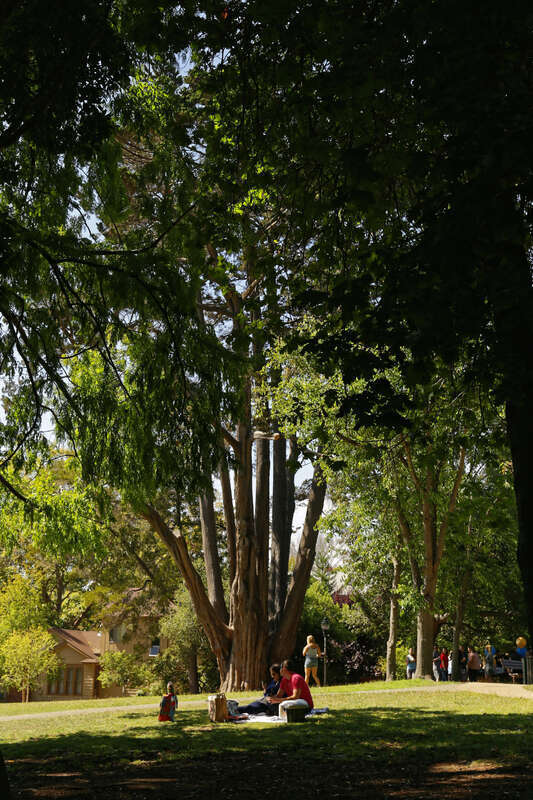 Leute im Park