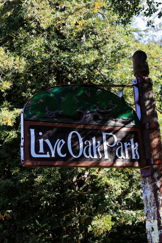 Neues in Redwoodholz geschnitztes Hinweisschild am Eingang des Parks
