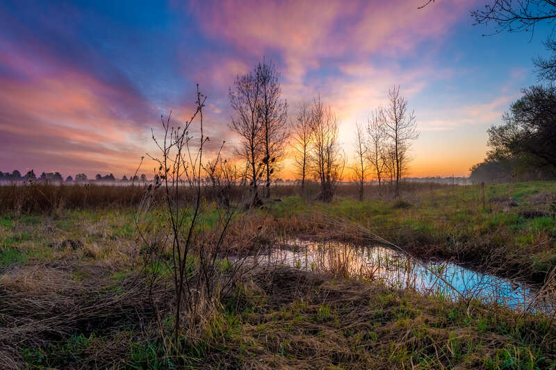 Longmont, United States