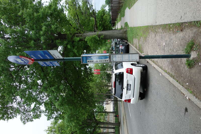 The Q20/Q44 bus stop on the west side of Main Street south of 63rd Avenue / Reeves Avenue in Queensboro Hill / Kew Gardens Hills, Flushing, Queens.