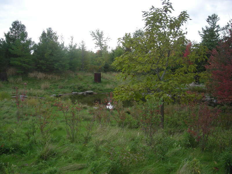 The Sculpture Park at the Frederik Meijer Gardens &amp; Sculpture Park in Grand Rapids Township, Michigan (United States).
