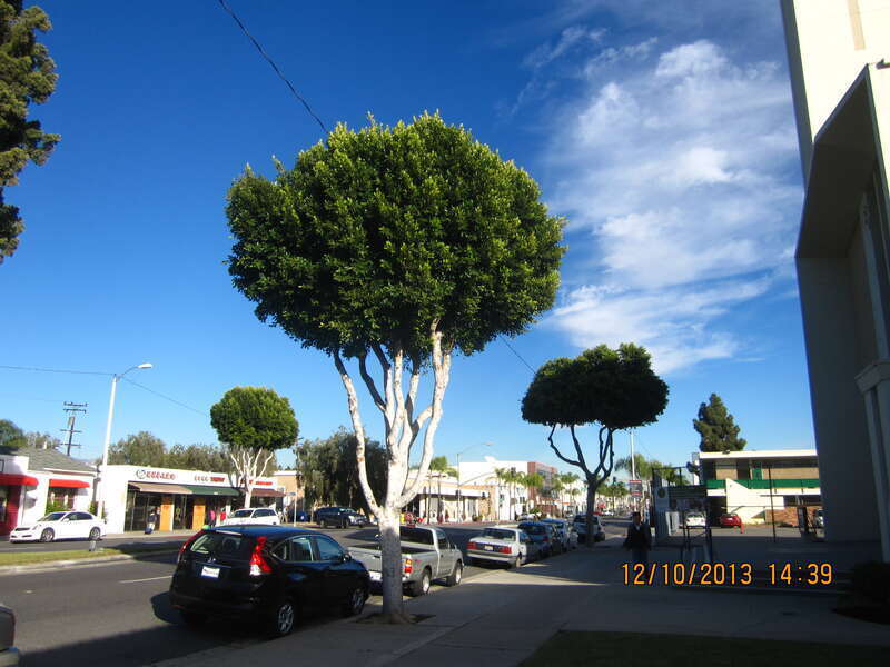 Monterey Park, CA, USA