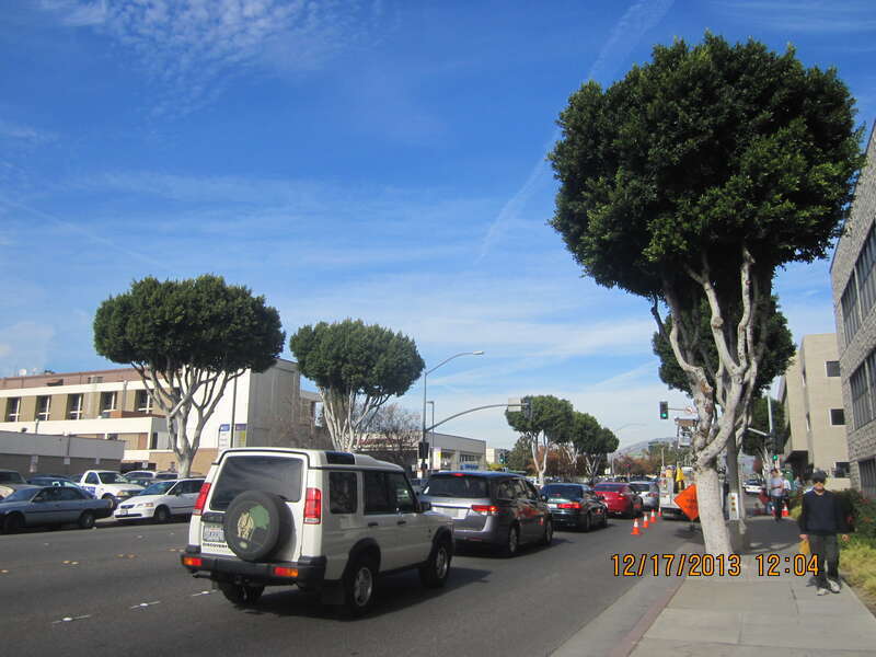 Monterey Park, CA, USA