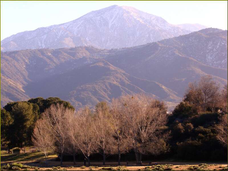 As the rising sun casts a golden glow on the trees at the park, the mist begins to dissipate and we can see huge Mt. San Bernardino in the background.