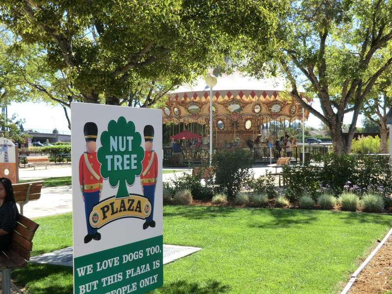 Nut Tree 824