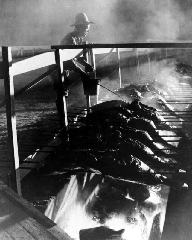 Local call number: c003870
Title: [Oscar Osteen barbecues 5,000 pounds of beef: Fort Pierce, Florida]
Date: 1947
Physical descrip: 1 photoprint: b&amp;w; 5 x 4 in.
General note: This is an American Legion barbecue for Lake Okeechobee-Fort Pierce