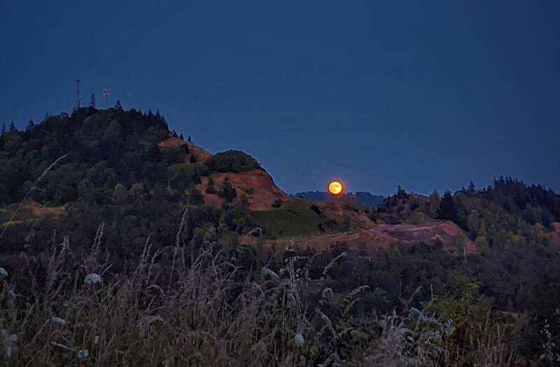 Springfield, Oregon