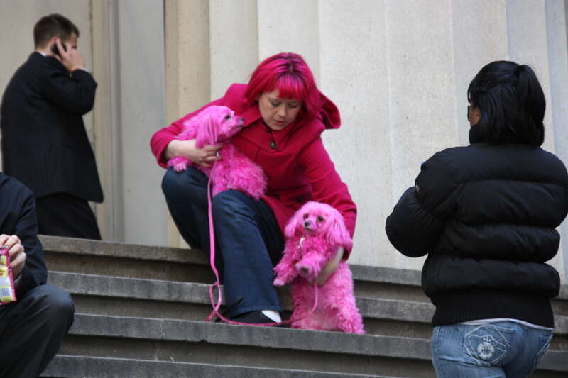 Pink