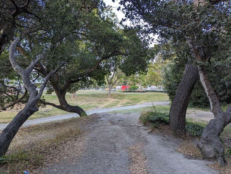City Park trail leading into Junipero Serra Park