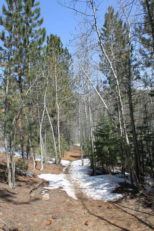 Spooner Lake