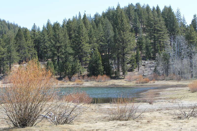 Spooner Lake