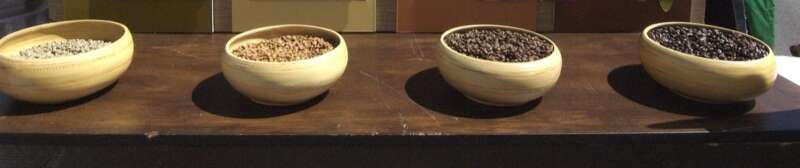 Starbucks Bean Life display in Miami at the Latin American Coffee Festival