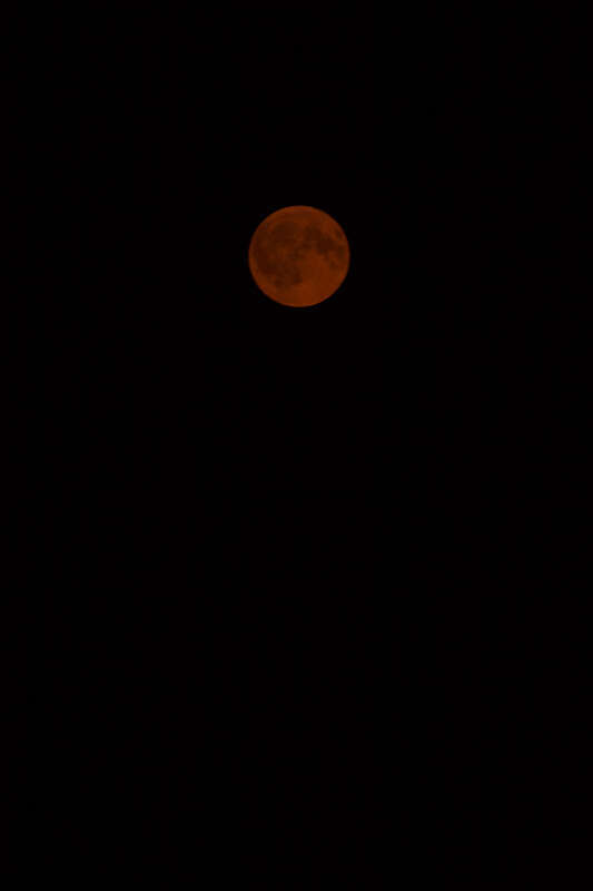
500px provided description: September 5th, 2017

Moon also looks red. Photo grainier than I would like. I wish I had a tripod. [#glow ,#moon ,#silhouette ,#lightning ,#universe ,#star ,#moonlight ,#fireball ,#full moon ,#lunar ,#galaxy ,#bloodmoon]