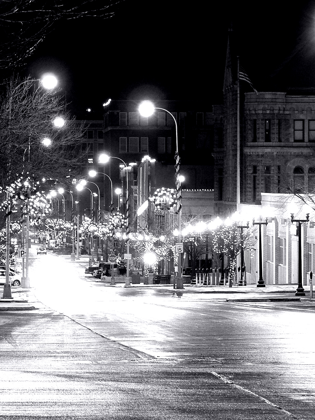 I was driving around after work on Christmas Eve and ended up downtown.  I had my camera with me luckily and took a few shots.  In color, they weren't all that good with the washed out amber glow of the streetlights, but in B&amp;W, I think they