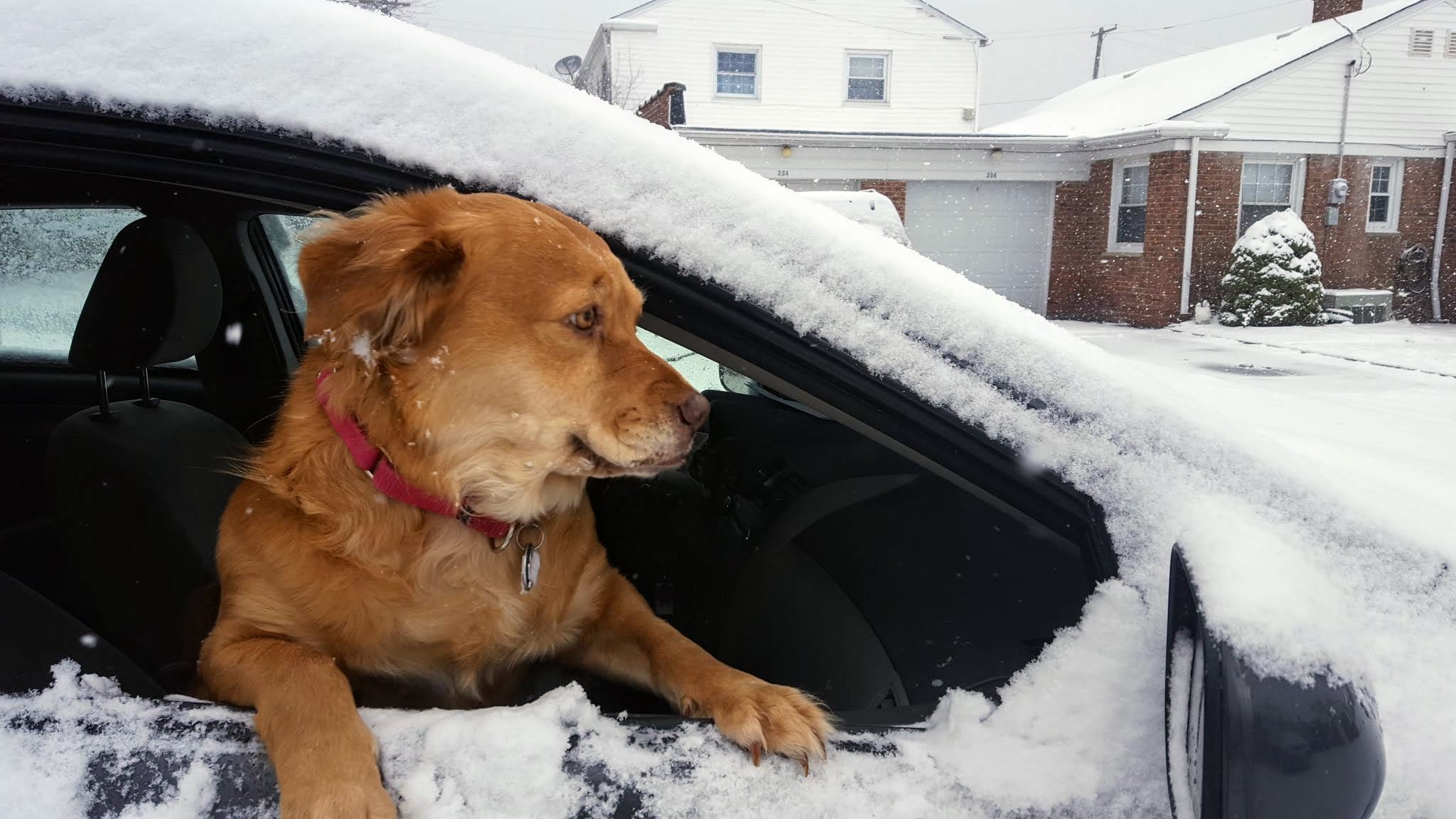 "Yeah, turn right."