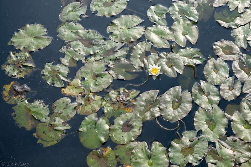 20200920-DSCF7555