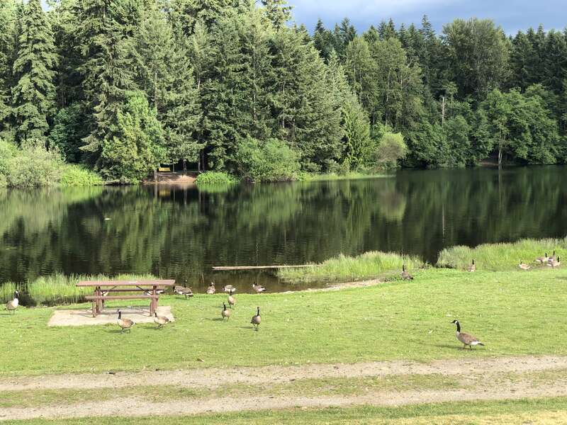 Bradley Lake Park (Puyallup, Washington)