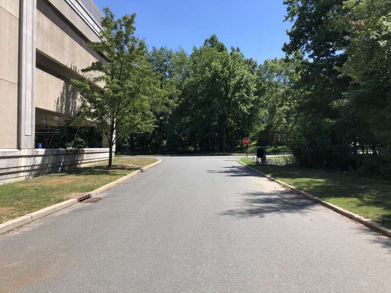 View south at the north end of J Street on the campus of the College of New Jersey in Ewing Township, Mercer County, New Jersey