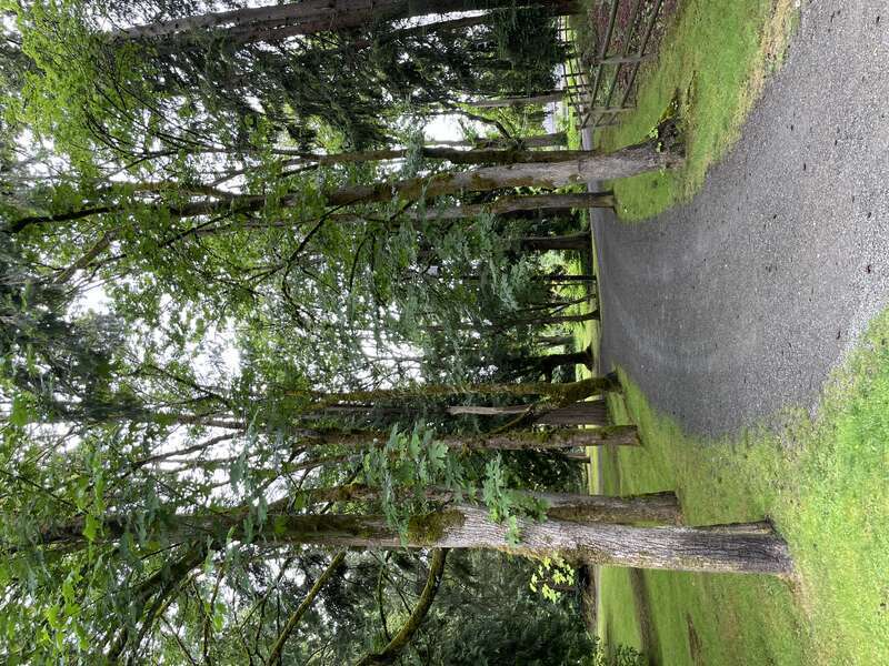 Idylwood Park, Redmond, Washington, United States.