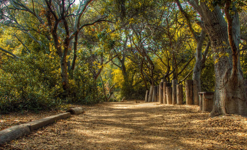 
500px provided description: Out for a walk in the El Dorado Nature Center in Long Beach, California. [#park ,#trees ,#landscape ,#spring ,#nature ,#walk ,#green ,#shadows ,#sunny ,#wildlife ,#HDR]