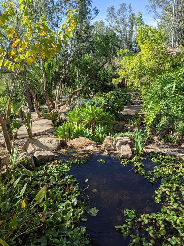 Alta Vista Gardens