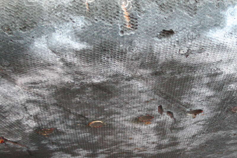 Apollo 12 heat shield detail, on display at Virginia Air and Space Center