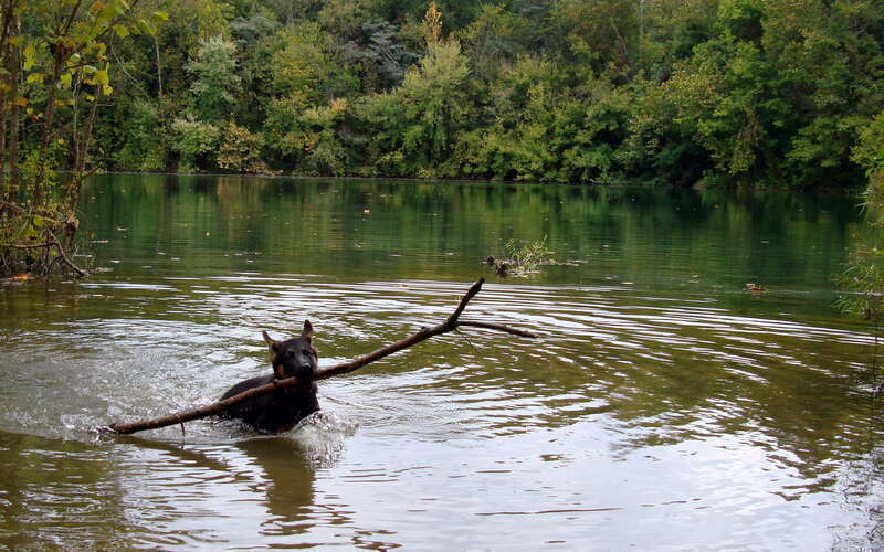 Big stick