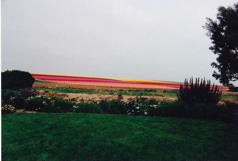 Carlsbad,California.USA.