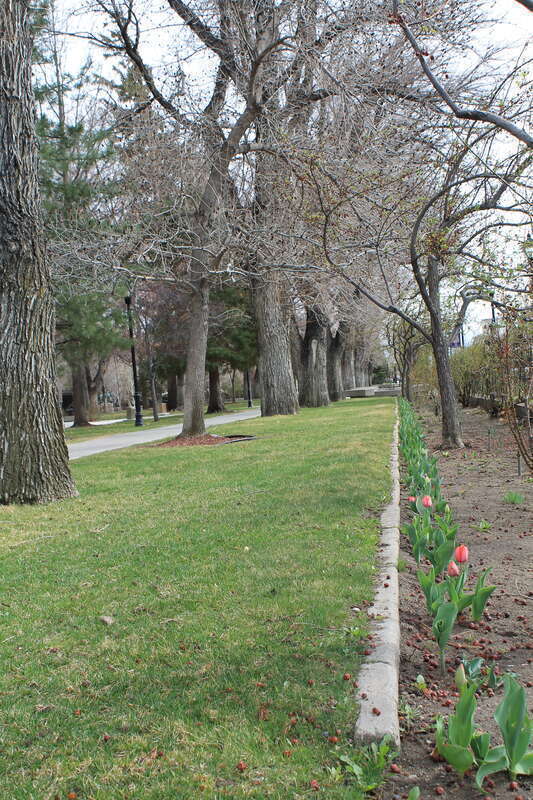 Carson City